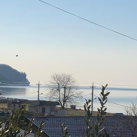 Ривьера Pitsunda Dış mekan fotoğraf